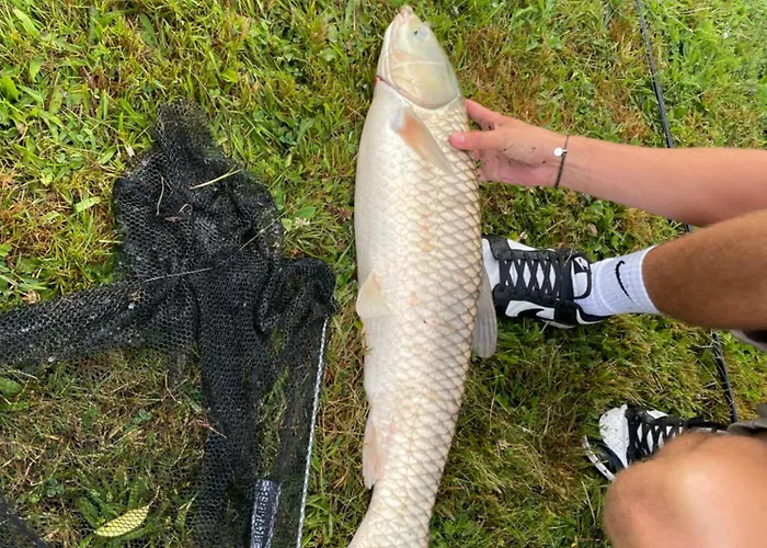 Vega Σπίτι διακοπών